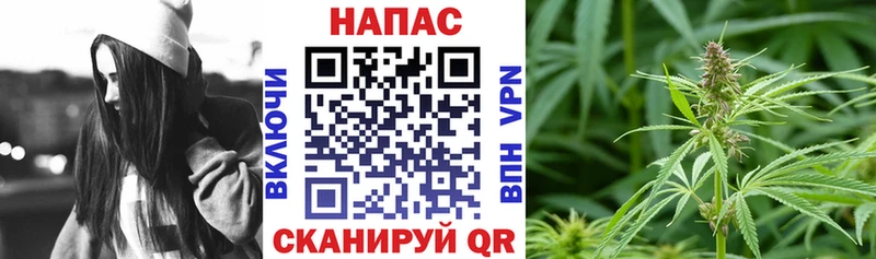 Бошки Шишки Bruce Banner Михайловск